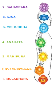 Présentation des zones des 7 chakras