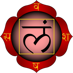 Symbole du Chakra Racine : Muladhara