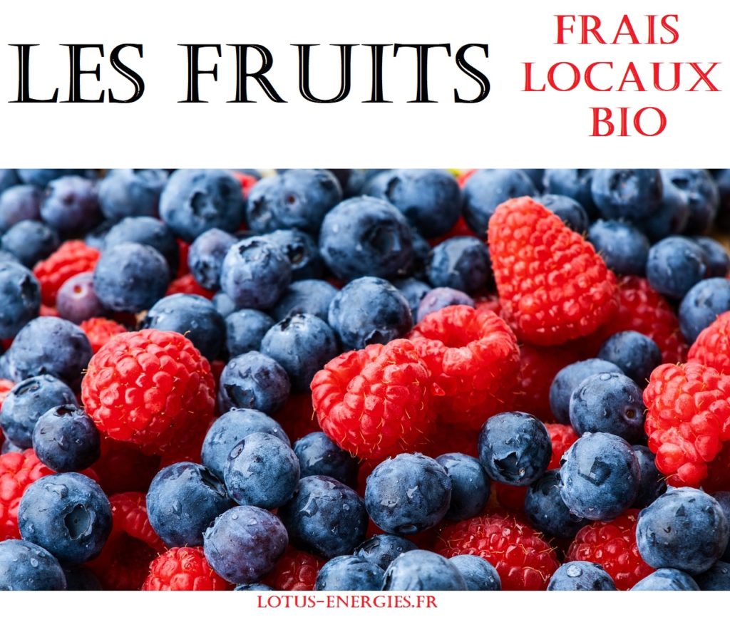 Aliment N°1 : Les fruits